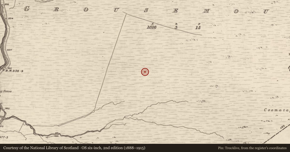Ordnance Survey six-inch map, 2nd edition (1888–1915) covering the location of Hut site, Grousemount, County Kerry, with a pin at the register's coordinates