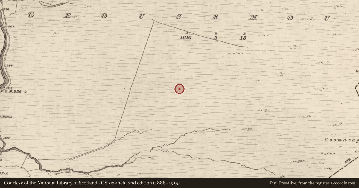 Ordnance Survey six-inch map, 2nd edition (1888–1915) covering the location of Hut site, Grousemount, County Kerry, with a pin at the register's coordinates
