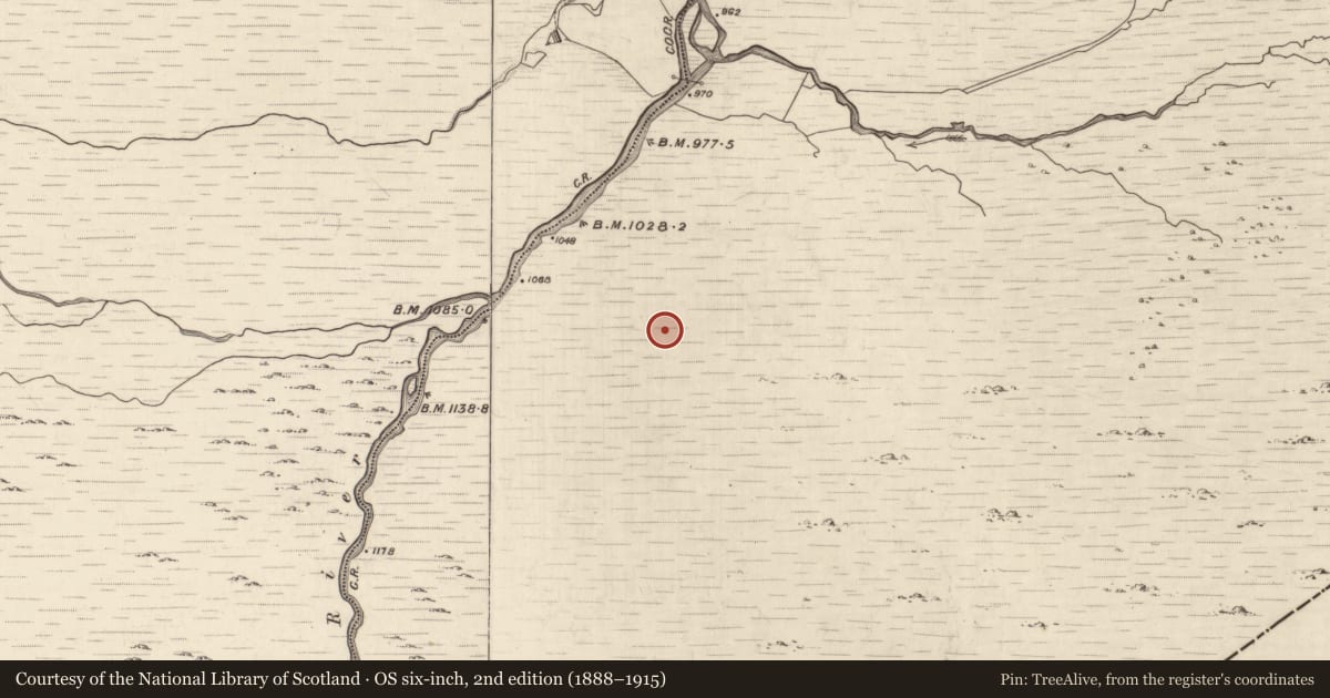 Ordnance Survey six-inch map, 2nd edition (1888–1915) covering the location of Hut site, Grousemount, County Kerry, with a pin at the register's coordinates