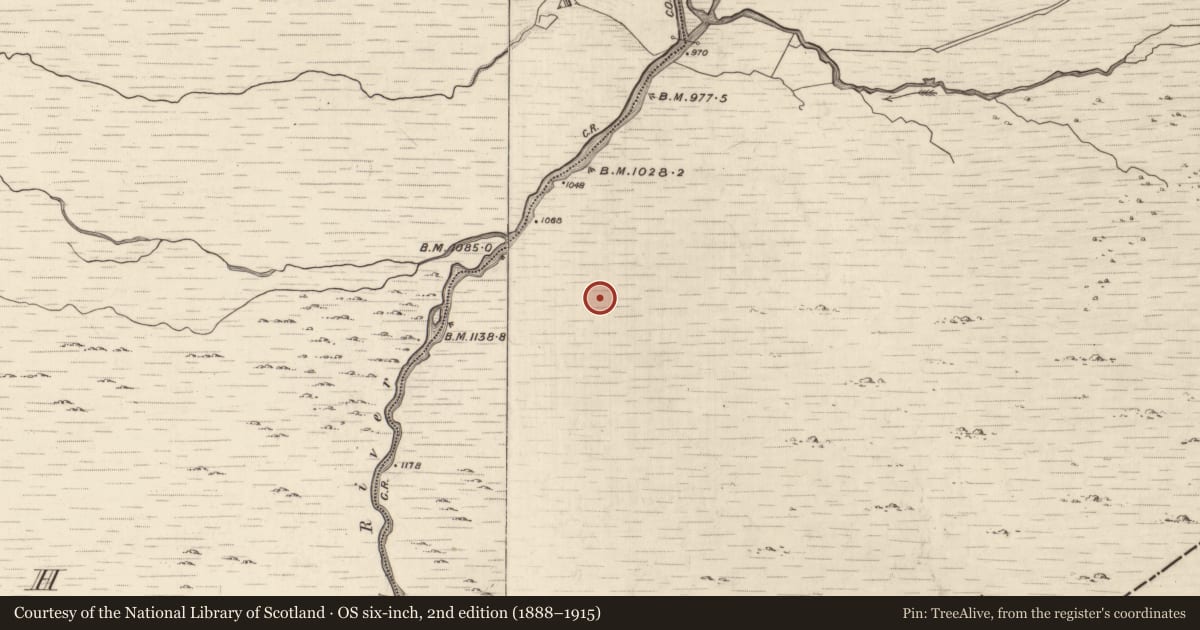 Ordnance Survey six-inch map, 2nd edition (1888–1915) covering the location of Hut site, Grousemount, County Kerry, with a pin at the register's coordinates
