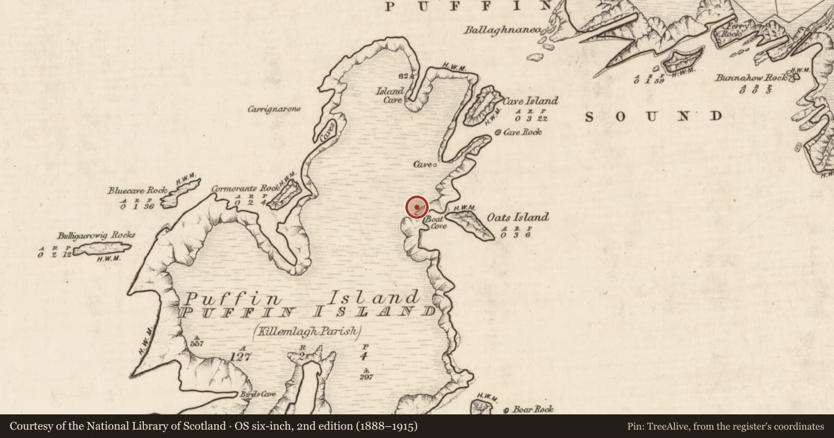 Ordnance Survey six-inch map, 2nd edition (1888–1915) covering the location of Hut site, Oileán Na Gcánóg, County Kerry, with a pin at the register's coordinates