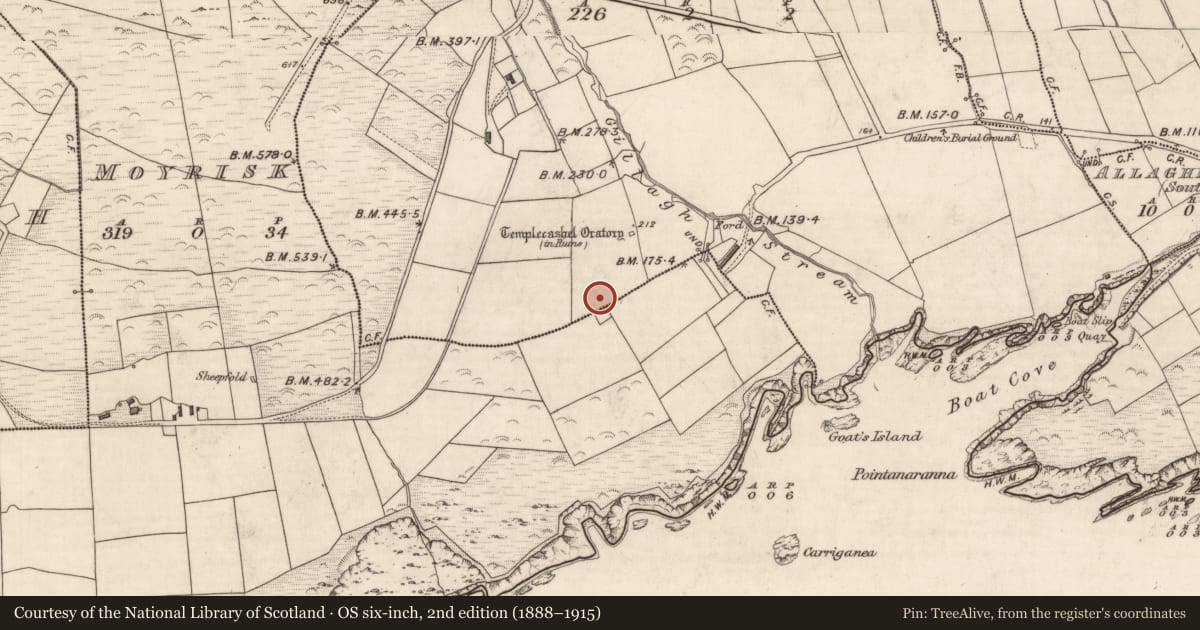 Ordnance Survey six-inch map, 2nd edition (1888–1915) covering the location of Enclosure, Baile Na Bhflann, County Kerry, with a pin at the register's coordinates