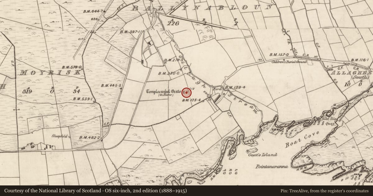 Ordnance Survey six-inch map, 2nd edition (1888–1915) covering the location of Church, Baile Na Bhflann, County Kerry, with a pin at the register's coordinates