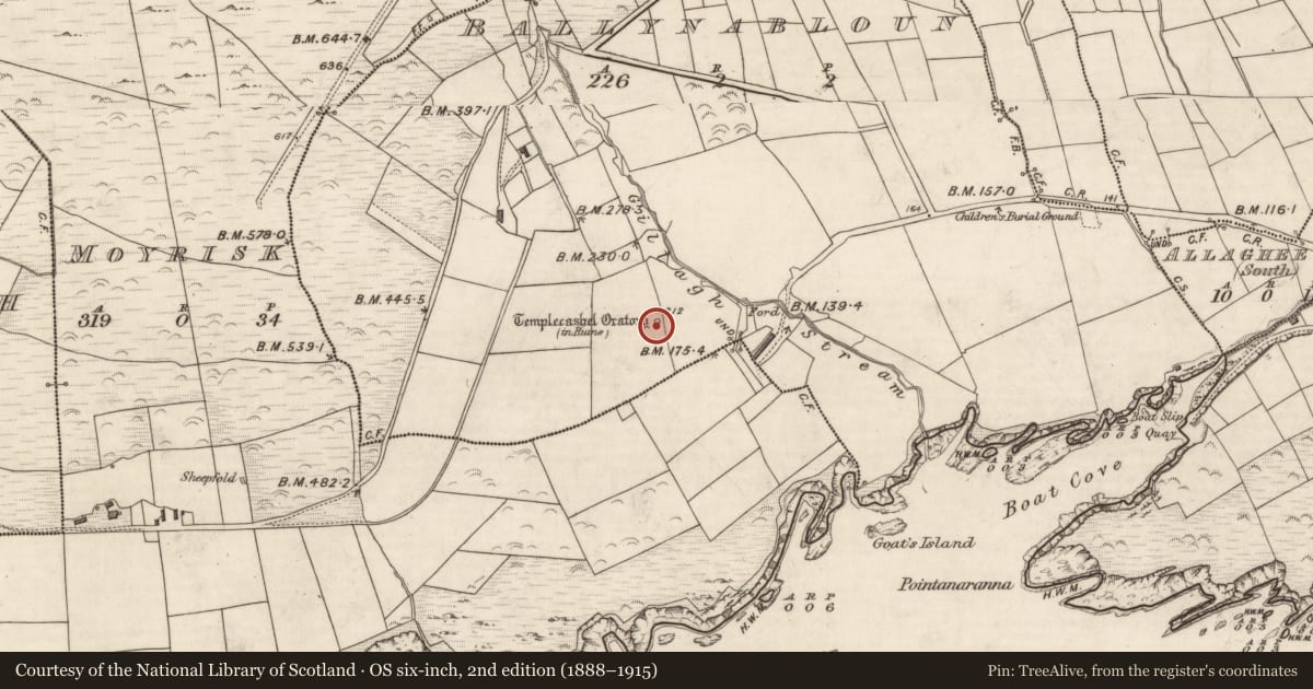 Ordnance Survey six-inch map, 2nd edition (1888–1915) covering the location of Terrace, Baile Na Bhflann, County Kerry, with a pin at the register's coordinates