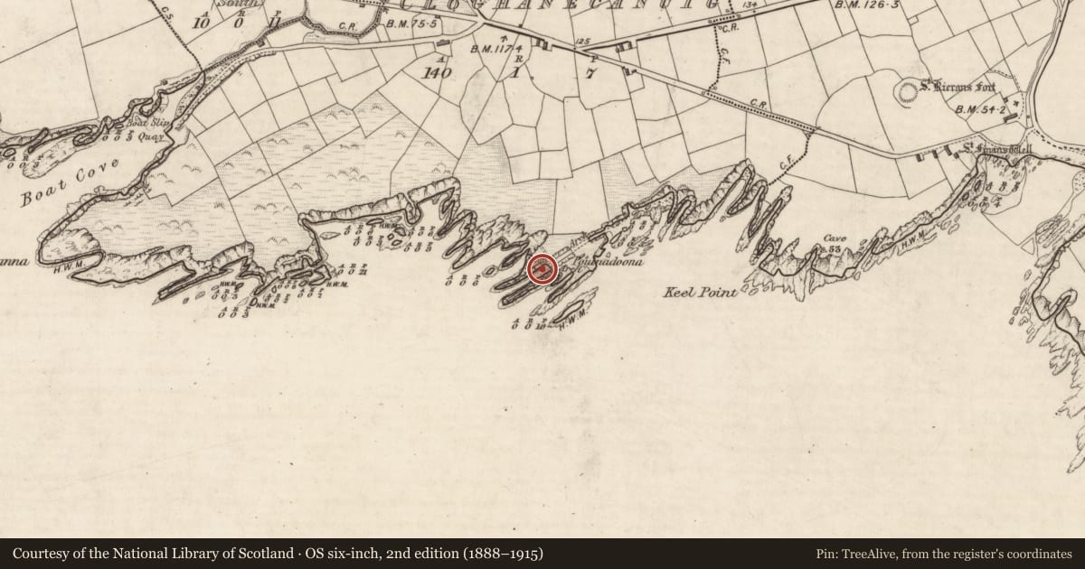Ordnance Survey six-inch map, 2nd edition (1888–1915) covering the location of Promontory fort - coastal, Clochán Ceannúigh, County Kerry, with a pin at the register's coordinates