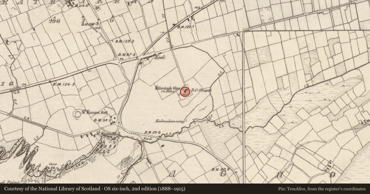 Ordnance Survey six-inch map, 2nd edition (1888–1915) covering the location of Cross-slab, Ráth Ciaráin, County Kerry, with a pin at the register's coordinates