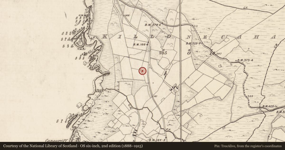 Ordnance Survey six-inch map, 2nd edition (1888–1915) covering the location of Radial-stone enclosure, Cill Ón Chatha, County Kerry, with a pin at the register's coordinates