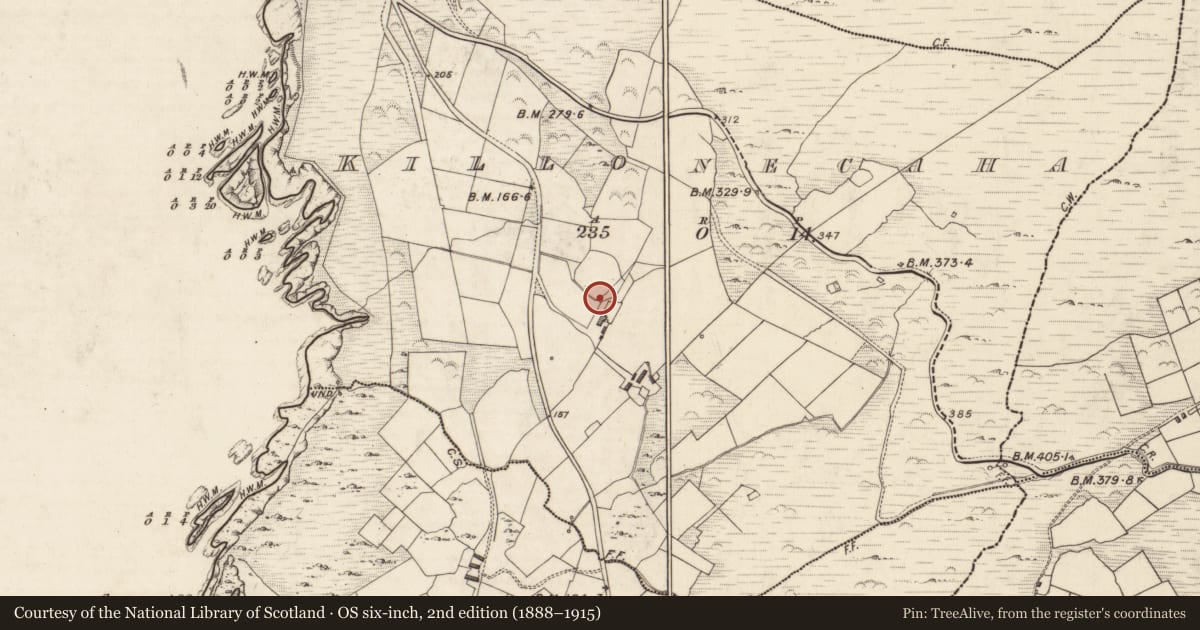 Ordnance Survey six-inch map, 2nd edition (1888–1915) covering the location of Children's burial ground, Cill Ón Chatha, County Kerry, with a pin at the register's coordinates