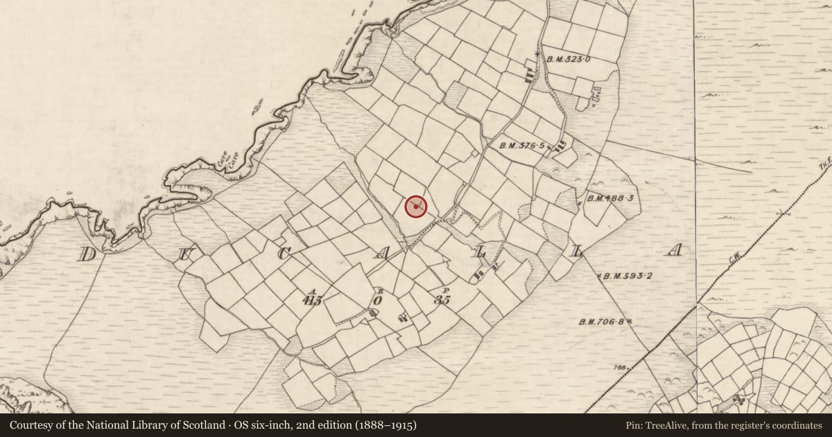 Ordnance Survey six-inch map, 2nd edition (1888–1915) covering the location of Souterrain, Duichealla, County Kerry, with a pin at the register's coordinates