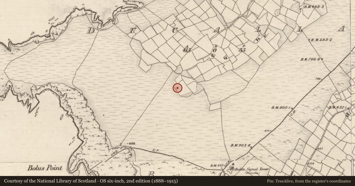 Ordnance Survey six-inch map, 2nd edition (1888–1915) covering the location of Hut site, Duichealla, County Kerry, with a pin at the register's coordinates