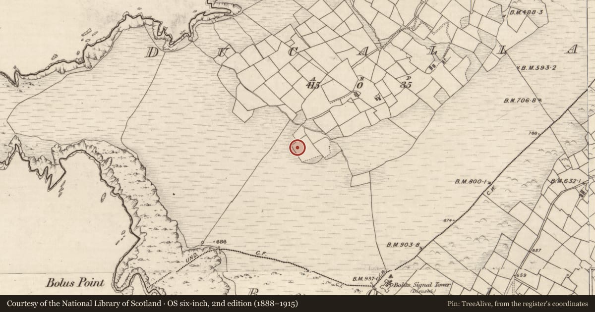 Ordnance Survey six-inch map, 2nd edition (1888–1915) covering the location of Hut site, Duichealla, County Kerry, with a pin at the register's coordinates