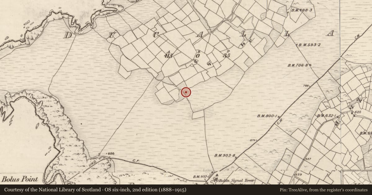 Ordnance Survey six-inch map, 2nd edition (1888–1915) covering the location of Souterrain, Duichealla, County Kerry, with a pin at the register's coordinates