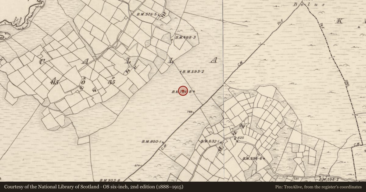 Ordnance Survey six-inch map, 2nd edition (1888–1915) covering the location of Megalithic structure, Duichealla, County Kerry, with a pin at the register's coordinates