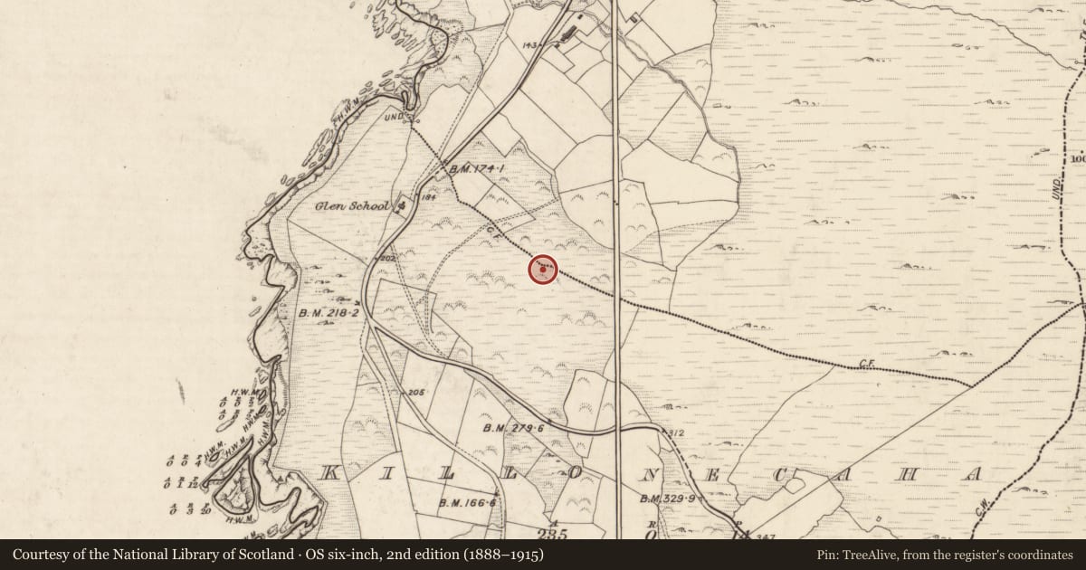 Ordnance Survey six-inch map, 2nd edition (1888–1915) covering the location of Hut site, Cill Ón Chatha, County Kerry, with a pin at the register's coordinates