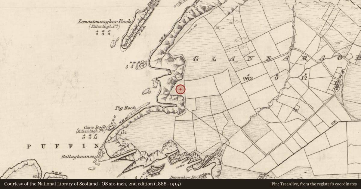 Ordnance Survey six-inch map, 2nd edition (1888–1915) covering the location of Promontory fort - coastal, An Gleann Iarthach, County Kerry, with a pin at the register's coordinates