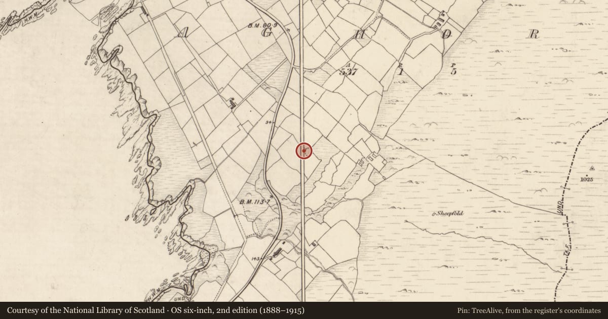 Ordnance Survey six-inch map, 2nd edition (1888–1915) covering the location of Ringfort - rath, Athghort, County Kerry, with a pin at the register's coordinates