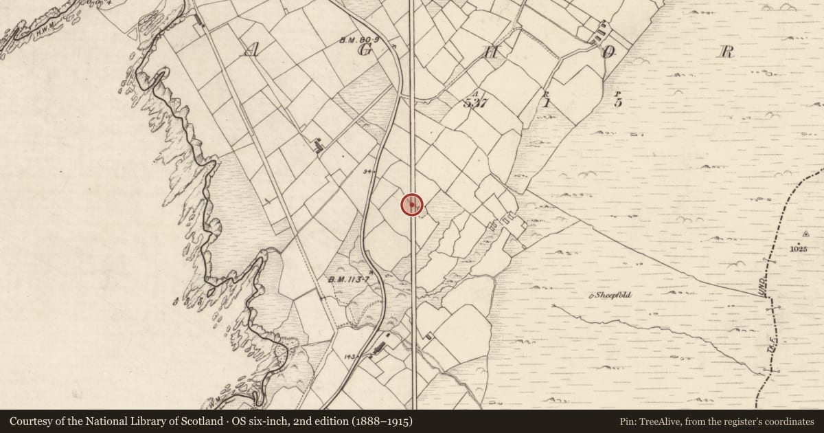 Ordnance Survey six-inch map, 2nd edition (1888–1915) covering the location of Souterrain, Athghort, County Kerry, with a pin at the register's coordinates