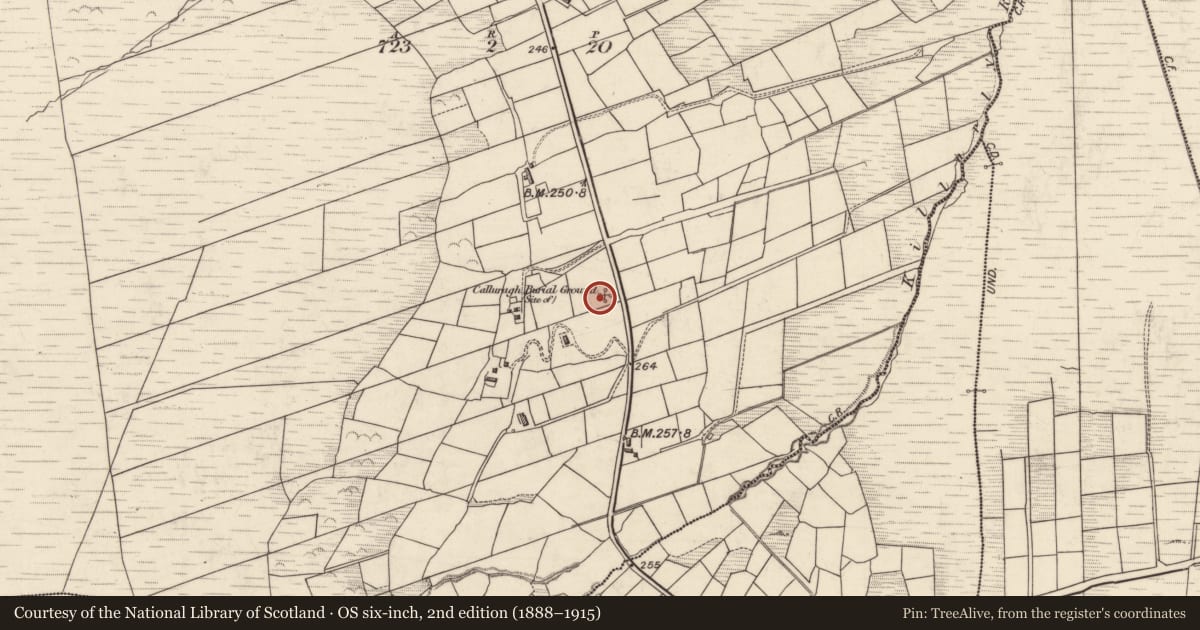 Ordnance Survey six-inch map, 2nd edition (1888–1915) covering the location of Hut site, Cill Urlaí, County Kerry, with a pin at the register's coordinates
