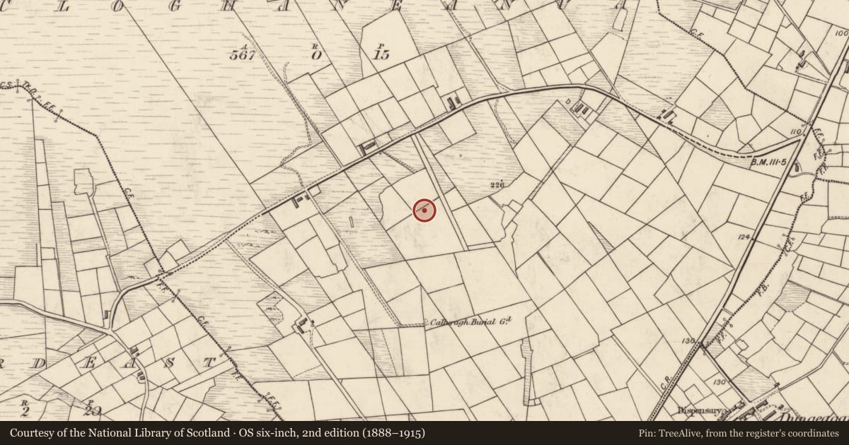 Ordnance Survey six-inch map, 2nd edition (1888–1915) covering the location of Souterrain, Clochán Na Nuagh, County Kerry, with a pin at the register's coordinates