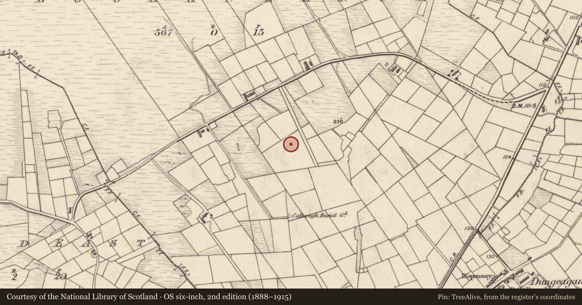 Ordnance Survey six-inch map, 2nd edition (1888–1915) covering the location of House - indeterminate date, Clochán Na Nuagh, County Kerry, with a pin at the register's coordinates