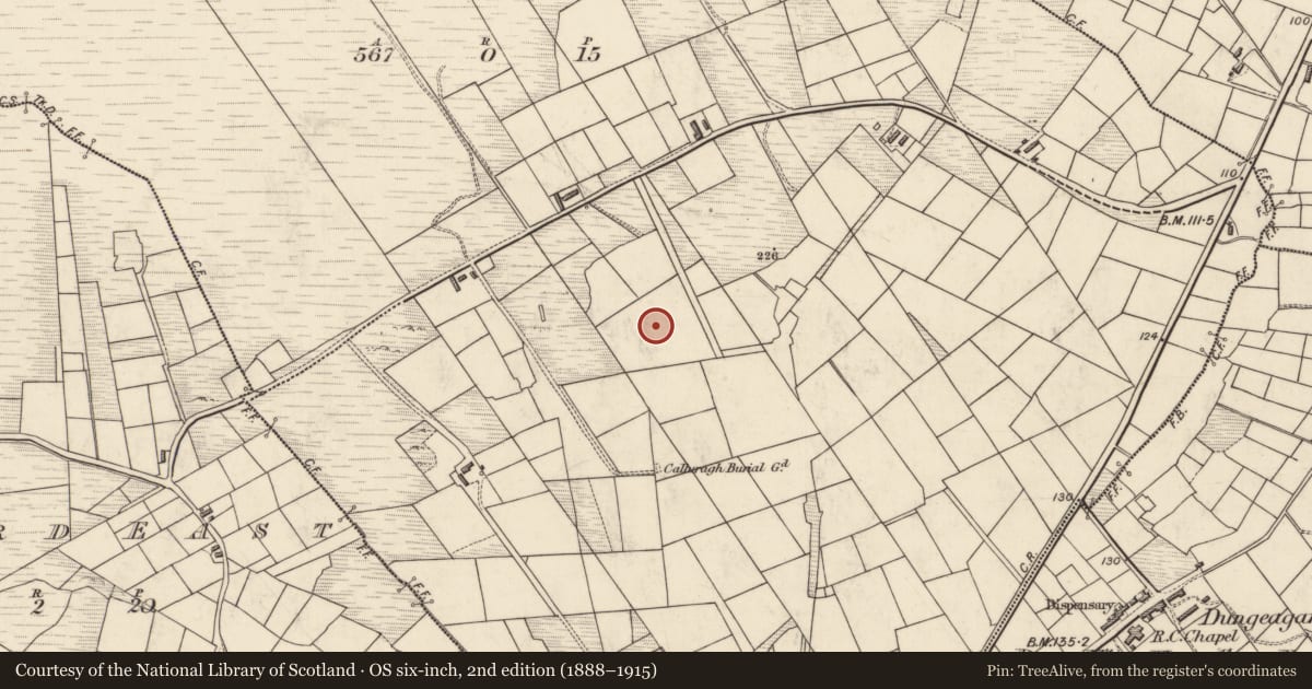 Ordnance Survey six-inch map, 2nd edition (1888–1915) covering the location of Megalithic tomb - unclassified, Clochán Na Nuagh, County Kerry, with a pin at the register's coordinates