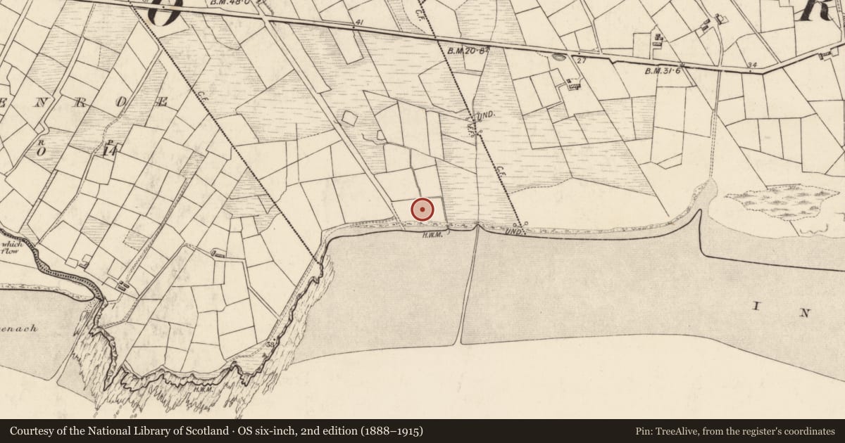 Ordnance Survey six-inch map, 2nd edition (1888–1915) covering the location of Cultivation ridges, An Timleach Mór Thiar, County Kerry, with a pin at the register's coordinates