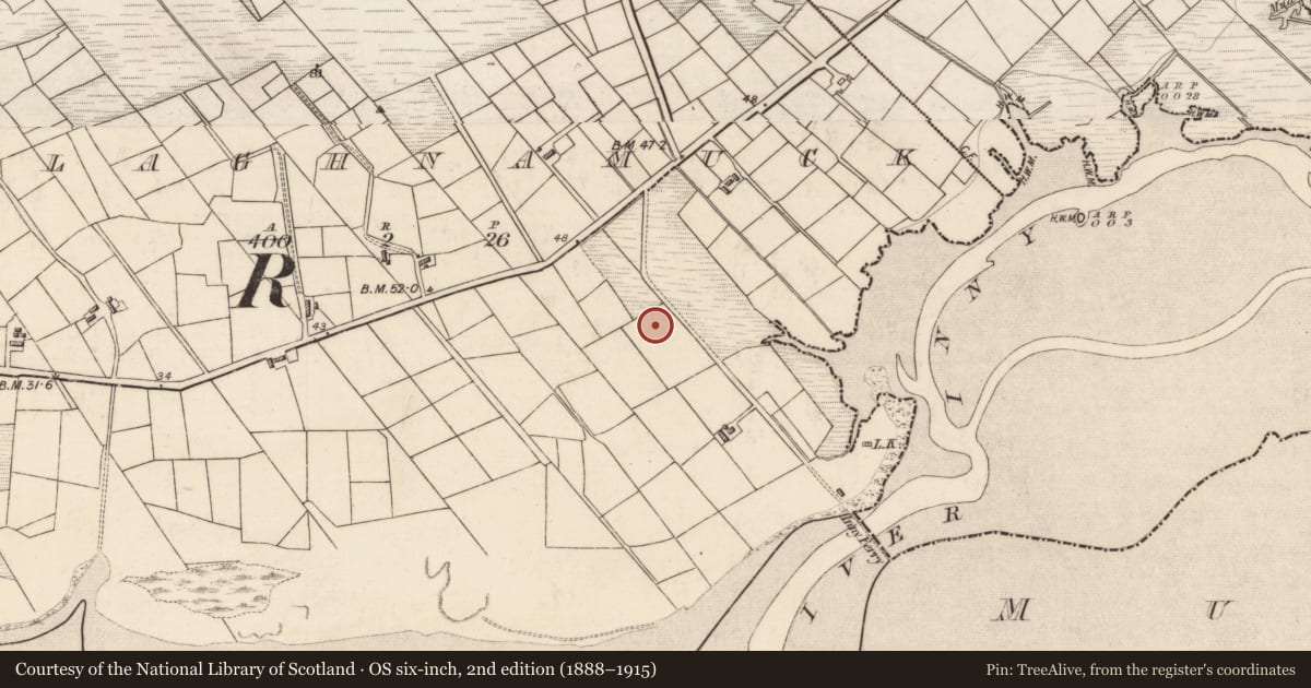 Ordnance Survey six-inch map, 2nd edition (1888–1915) covering the location of Fulacht fia, Imleach Na Muc, County Kerry, with a pin at the register's coordinates