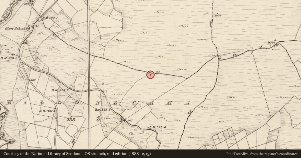 Ordnance Survey six-inch map, 2nd edition (1888–1915) covering the location of Hut site, Cill Ón Chatha, County Kerry, with a pin at the register's coordinates