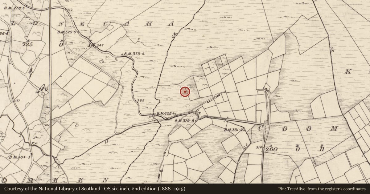 Ordnance Survey six-inch map, 2nd edition (1888–1915) covering the location of Hut site, An Com (Bar. Uíbh Ráthach), County Kerry, with a pin at the register's coordinates