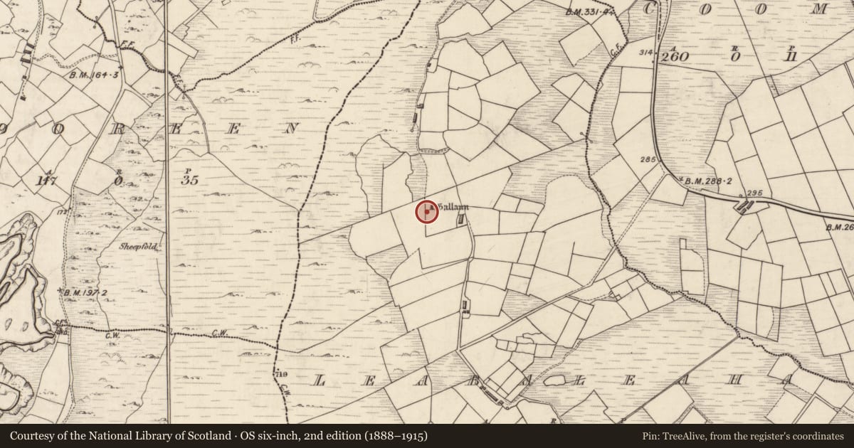 Ordnance Survey six-inch map, 2nd edition (1888–1915) covering the location of Boulder-burial, Na Leadhba Liatha, County Kerry, with a pin at the register's coordinates