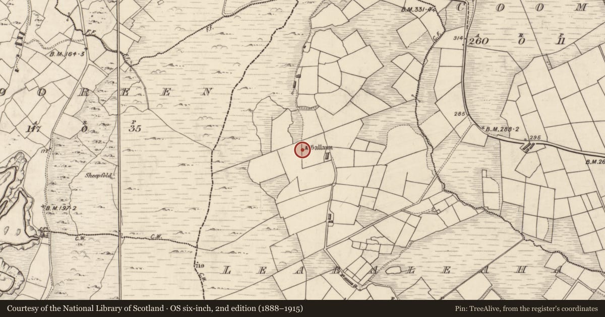 Ordnance Survey six-inch map, 2nd edition (1888–1915) covering the location of Stone row, Na Leadhba Liatha, County Kerry, with a pin at the register's coordinates