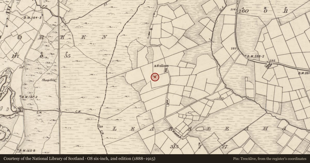 Ordnance Survey six-inch map, 2nd edition (1888–1915) covering the location of Hut site, Na Leadhba Liatha, County Kerry, with a pin at the register's coordinates
