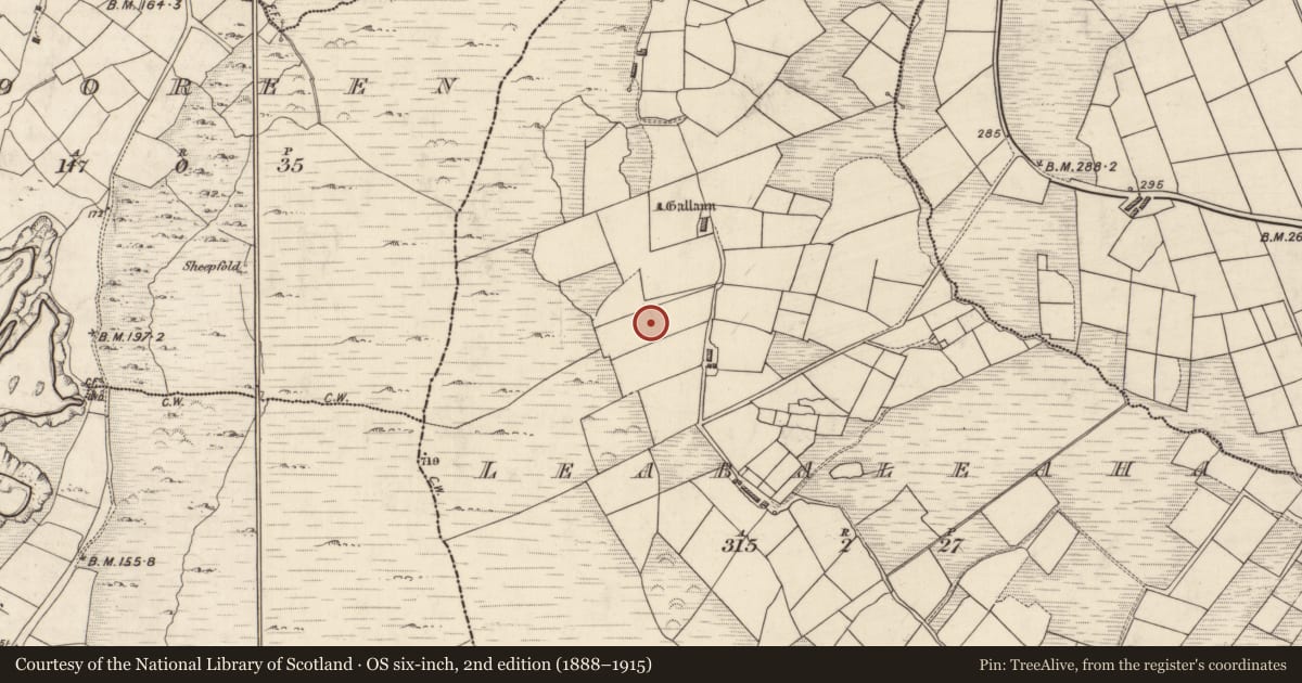 Ordnance Survey six-inch map, 2nd edition (1888–1915) covering the location of Hut site, Na Leadhba Liatha, County Kerry, with a pin at the register's coordinates