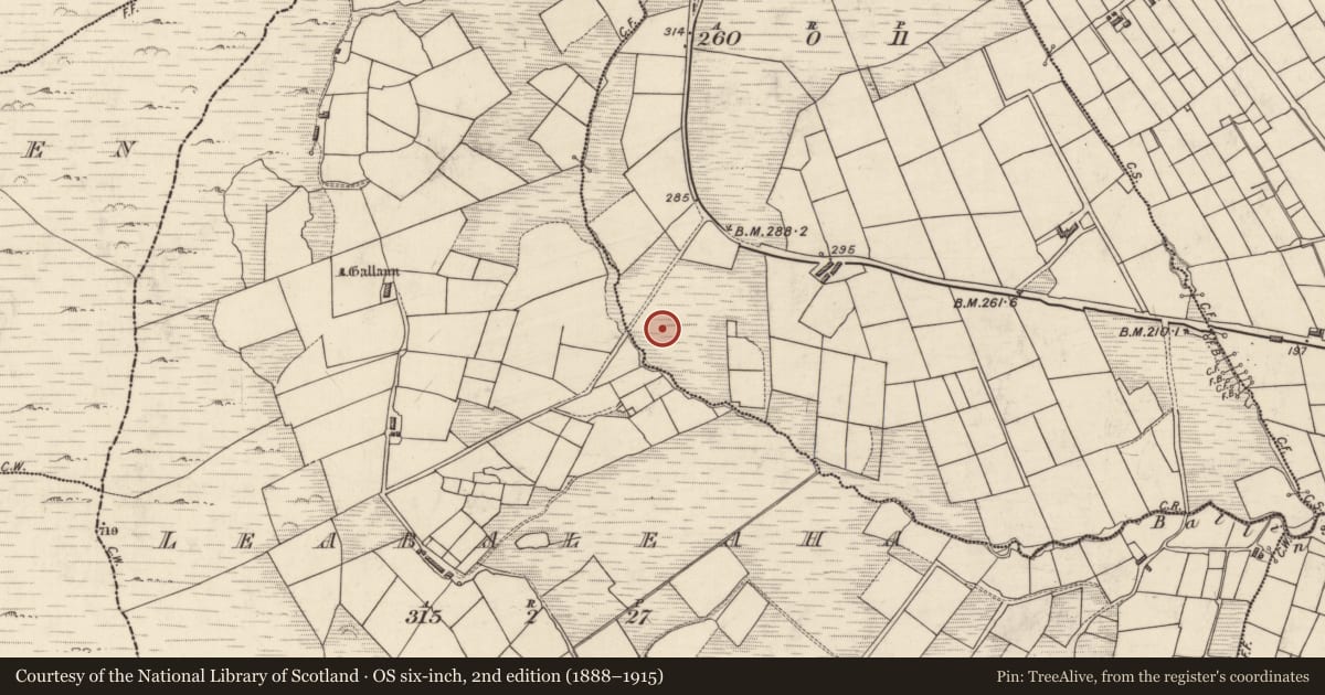 Ordnance Survey six-inch map, 2nd edition (1888–1915) covering the location of Megalithic tomb - wedge tomb, An Com (Bar. Uíbh Ráthach), County Kerry, with a pin at the register's coordinates