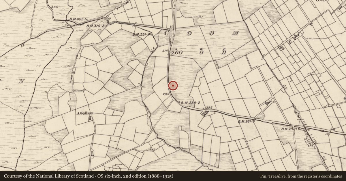Ordnance Survey six-inch map, 2nd edition (1888–1915) covering the location of Standing stone, An Com (Bar. Uíbh Ráthach), County Kerry, with a pin at the register's coordinates