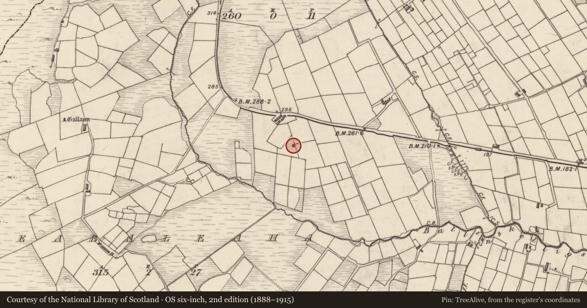Ordnance Survey six-inch map, 2nd edition (1888–1915) covering the location of Field boundary, An Com (Bar. Uíbh Ráthach), County Kerry, with a pin at the register's coordinates