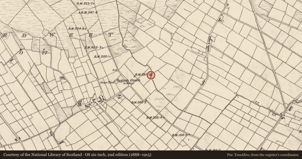 Ordnance Survey six-inch map, 2nd edition (1888–1915) covering the location of Megalithic structure, Cinn Aird Thiar (TC Baile an Sceilg), County Kerry, with a pin at the register's coordinates