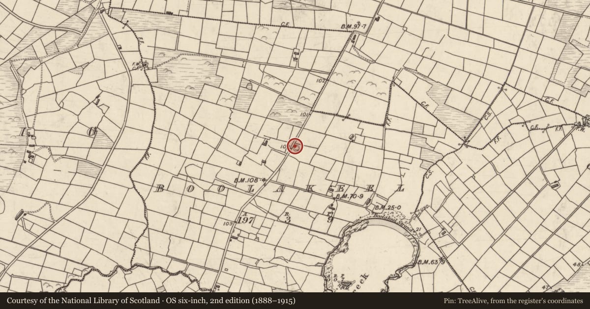 Ordnance Survey six-inch map, 2nd edition (1888–1915) covering the location of Ringfort - rath, Buaile Uí Chuill, County Kerry, with a pin at the register's coordinates