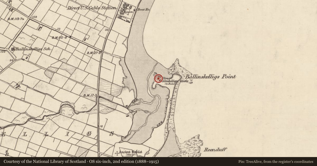 Ordnance Survey six-inch map, 2nd edition (1888–1915) covering the location of Castle - tower house, Baile An Sceilg, County Kerry, with a pin at the register's coordinates