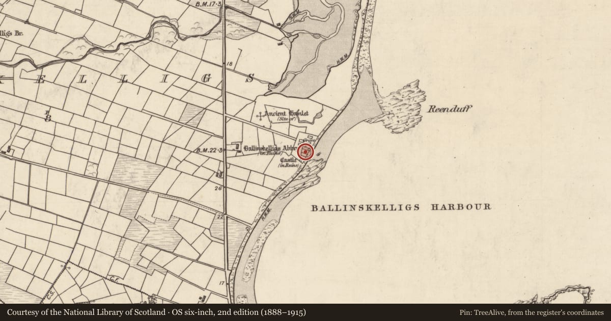 Ordnance Survey six-inch map, 2nd edition (1888–1915) covering the location of Religious house - Augustinian canons, Baile An Sceilg, County Kerry, with a pin at the register's coordinates