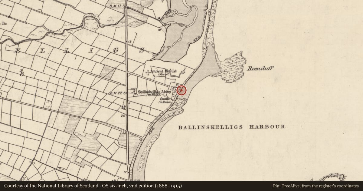 Ordnance Survey six-inch map, 2nd edition (1888–1915) covering the location of Holed stone, Baile An Sceilg, County Kerry, with a pin at the register's coordinates