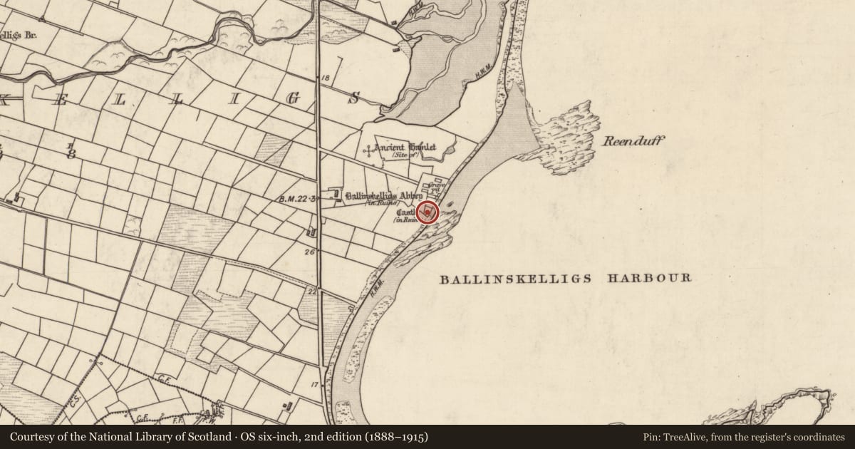 Ordnance Survey six-inch map, 2nd edition (1888–1915) covering the location of Castle - tower house, Baile An Sceilg, County Kerry, with a pin at the register's coordinates