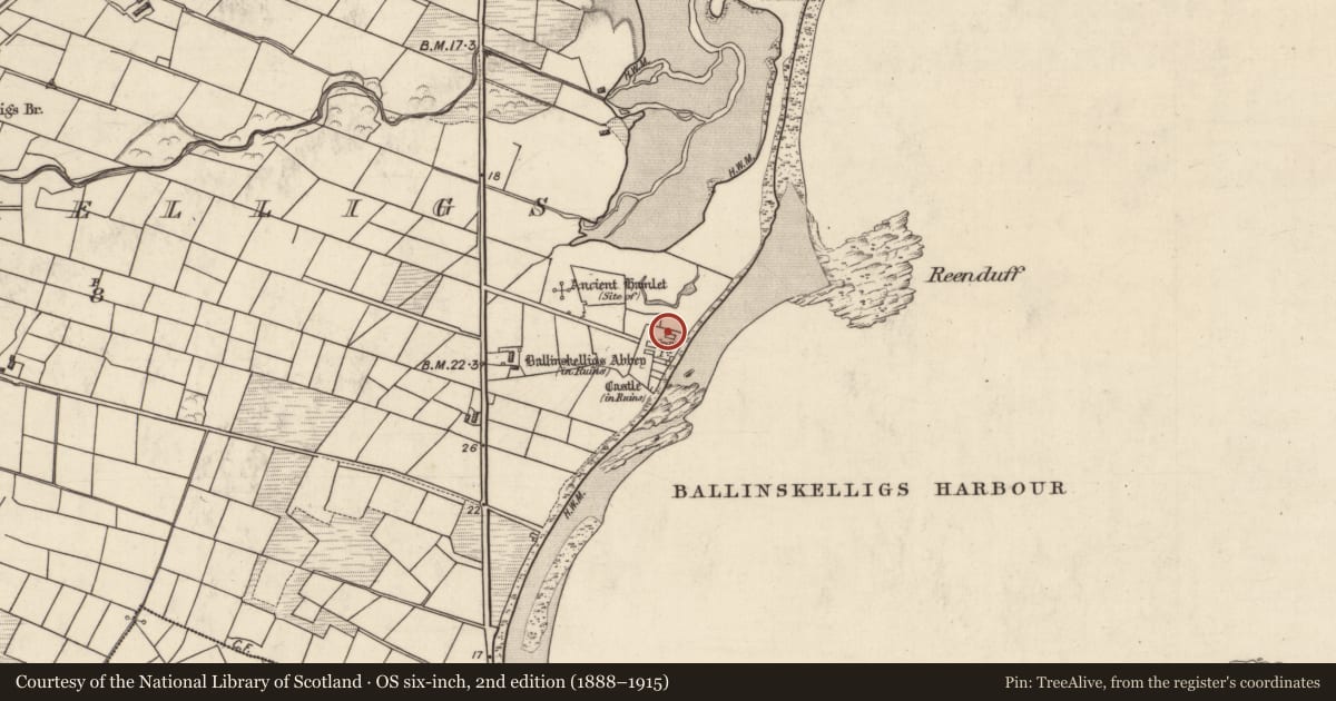 Ordnance Survey six-inch map, 2nd edition (1888–1915) covering the location of Building, Baile An Sceilg, County Kerry, with a pin at the register's coordinates
