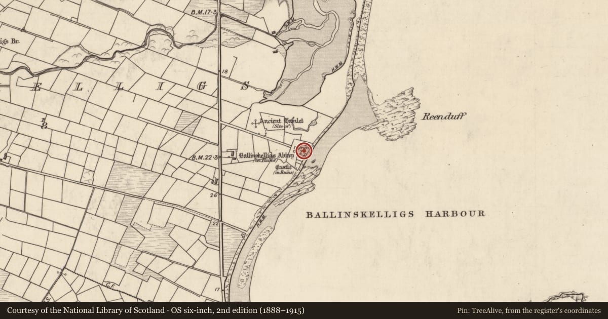 Ordnance Survey six-inch map, 2nd edition (1888–1915) covering the location of Graveyard, Baile An Sceilg, County Kerry, with a pin at the register's coordinates