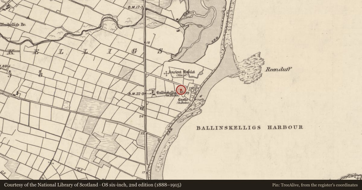 Ordnance Survey six-inch map, 2nd edition (1888–1915) covering the location of Earthwork, Baile An Sceilg, County Kerry, with a pin at the register's coordinates