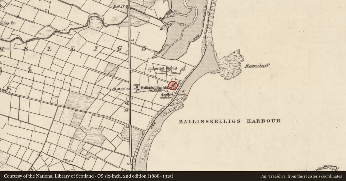Ordnance Survey six-inch map, 2nd edition (1888–1915) covering the location of Architectural fragment, Baile An Sceilg, County Kerry, with a pin at the register's coordinates