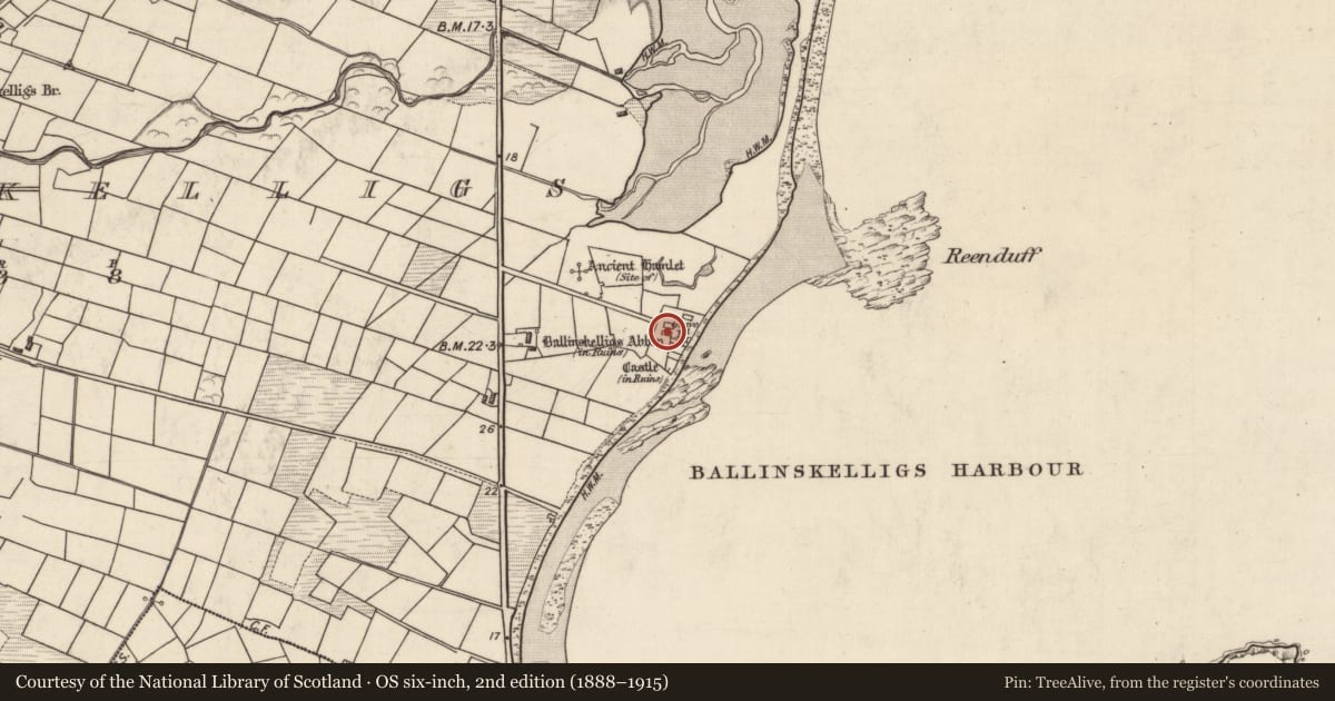Ordnance Survey six-inch map, 2nd edition (1888–1915) covering the location of Architectural fragment, Baile An Sceilg, County Kerry, with a pin at the register's coordinates