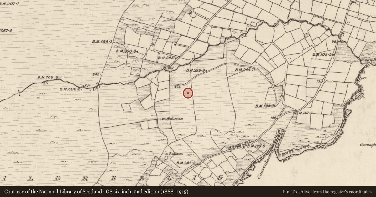 Ordnance Survey six-inch map, 2nd edition (1888–1915) covering the location of Hut site, Cill Rialaigh, County Kerry, with a pin at the register's coordinates