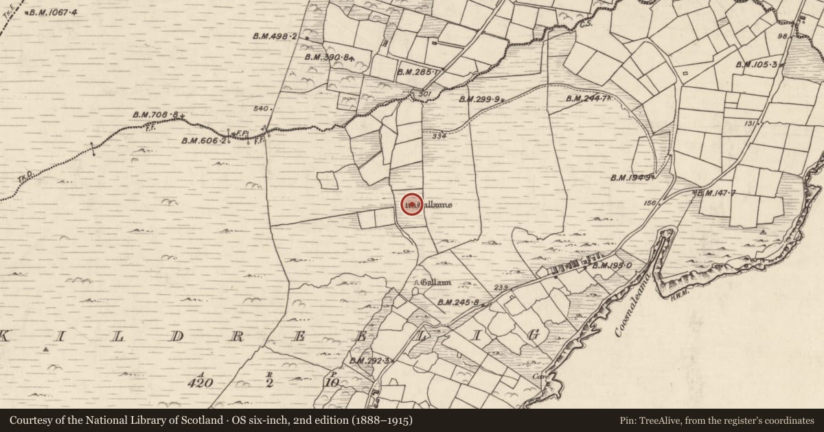 Ordnance Survey six-inch map, 2nd edition (1888–1915) covering the location of Stone row, Cill Rialaigh, County Kerry, with a pin at the register's coordinates