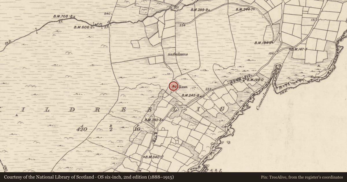 Ordnance Survey six-inch map, 2nd edition (1888–1915) covering the location of Standing stone, Cill Rialaigh, County Kerry, with a pin at the register's coordinates